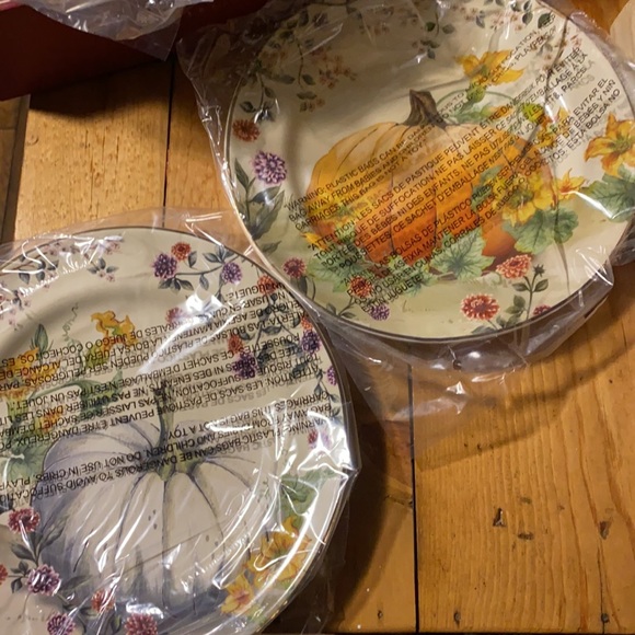 Pottery Barn Botanical Harvest Pumpkin Stoneware Set of Four Salad plates - Picture 3 of 16